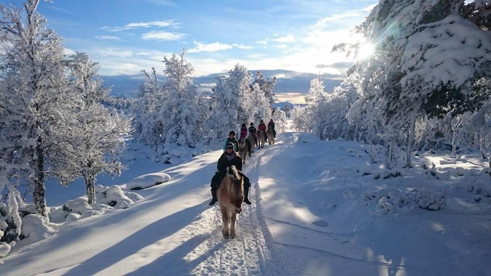 Langedrag Naturpark Tunhovd Εξωτερικό φωτογραφία